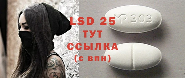 шишки Богородицк