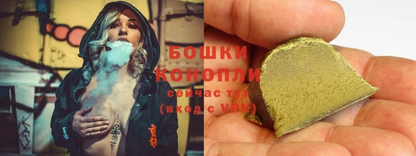 шишки Богородицк