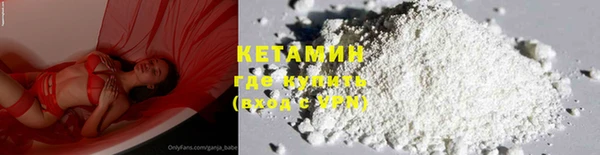 шишки Богородицк
