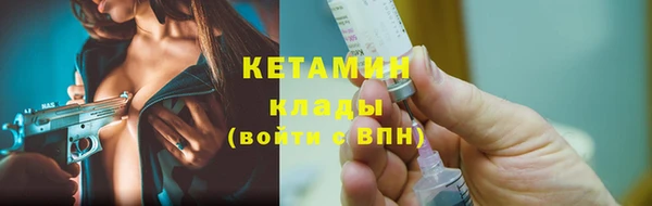 шишки Богородицк