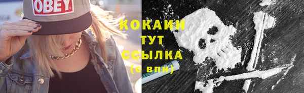 каннабис Богданович