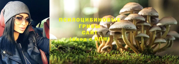 шишки Богородицк
